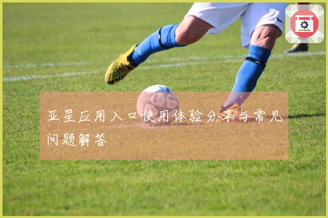 亚星应用入口使用体验分享与常见问题解答