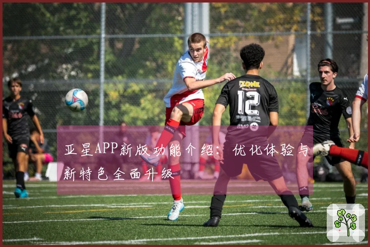 亚星APP新版功能介绍：优化体验与新特色全面升级