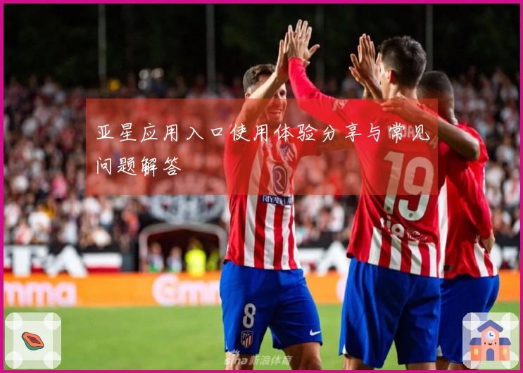 亚星应用入口使用体验分享与常见问题解答
