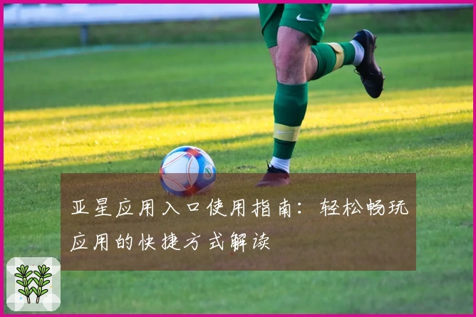 亚星应用入口使用指南：轻松畅玩应用的快捷方式解读