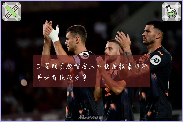 亚星网页版官方入口使用指南与新手必备技巧分享